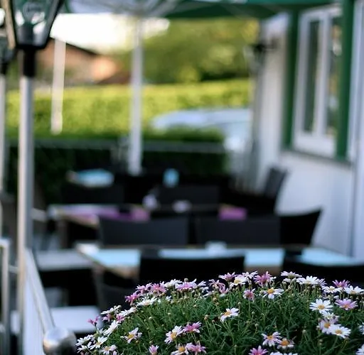 Gaestehaus Wilhelmshoehe 게스트하우스 3*